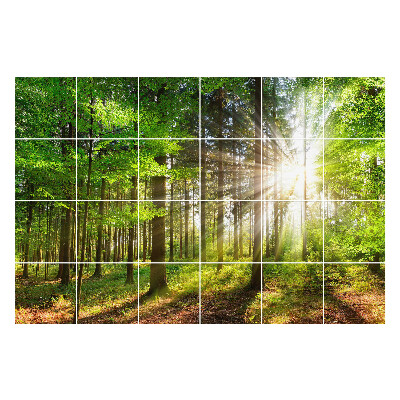 Nalepki na kafelki Promienie słońca w lesie