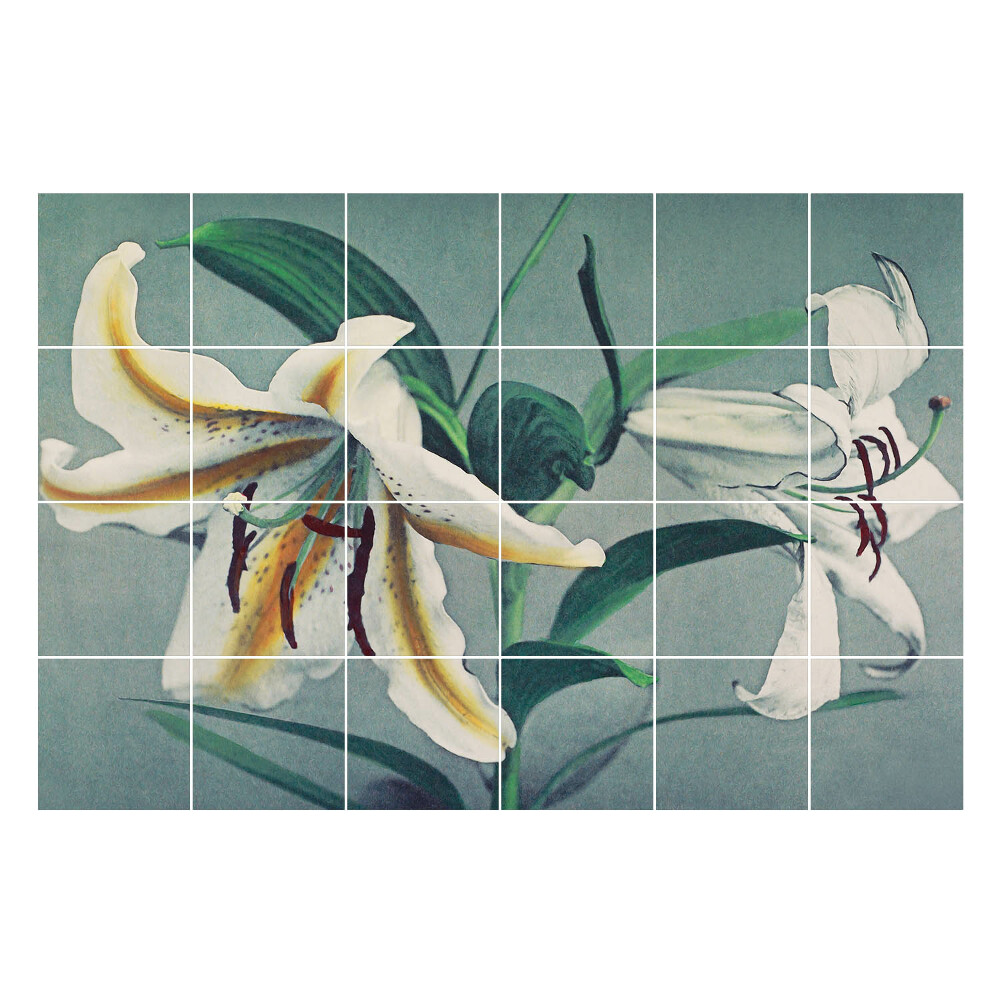 Naklejki na kafelki Kwiatowa kompozycja lilii