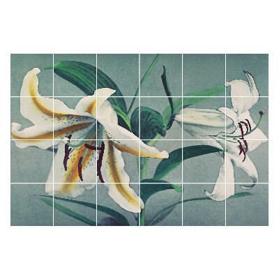 Naklejki na kafelki Kwiatowa kompozycja lilii