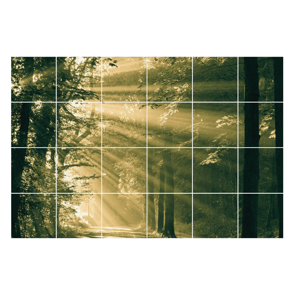 Nalepki na kafelki Promienie światła w lesie