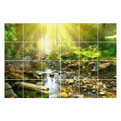 Naklejki na płytki Leśny strumień w słońcu