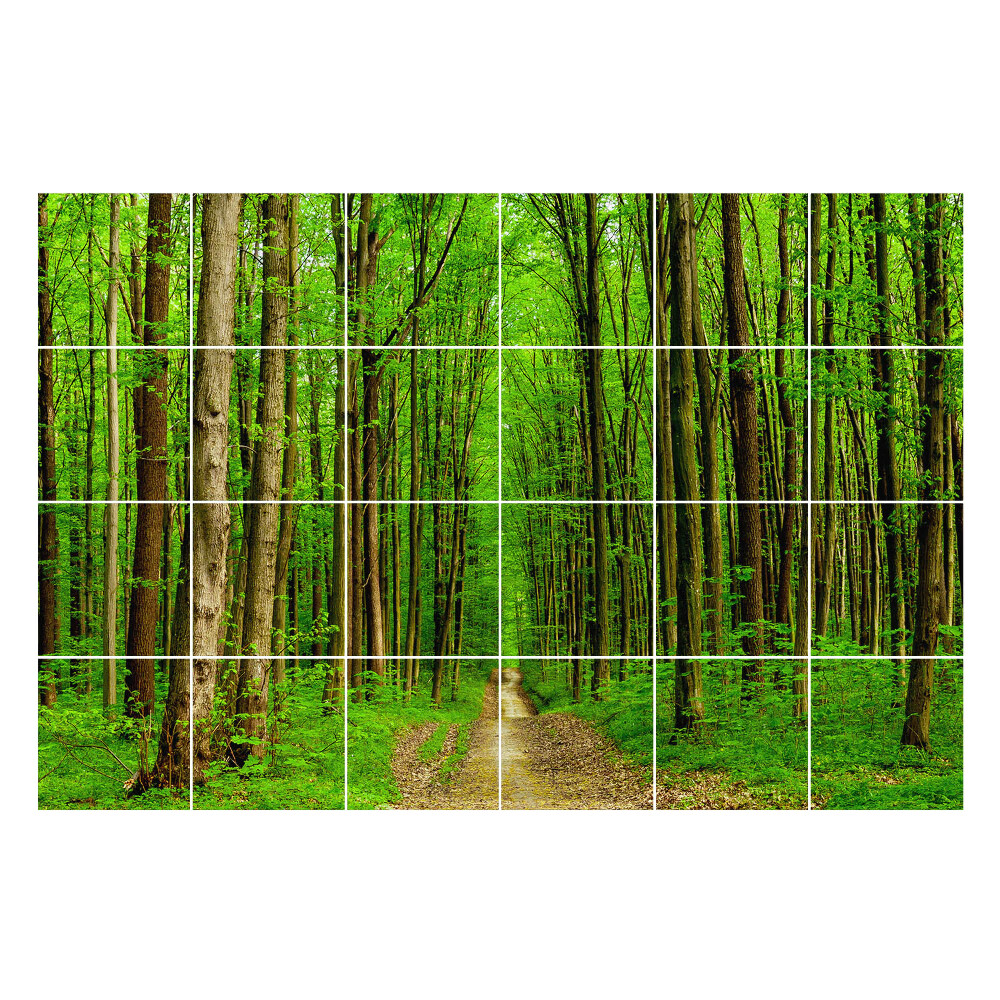 Naklejki na kafelki Zielony leśny szlak