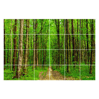 Naklejki na kafelki Zielony leśny szlak