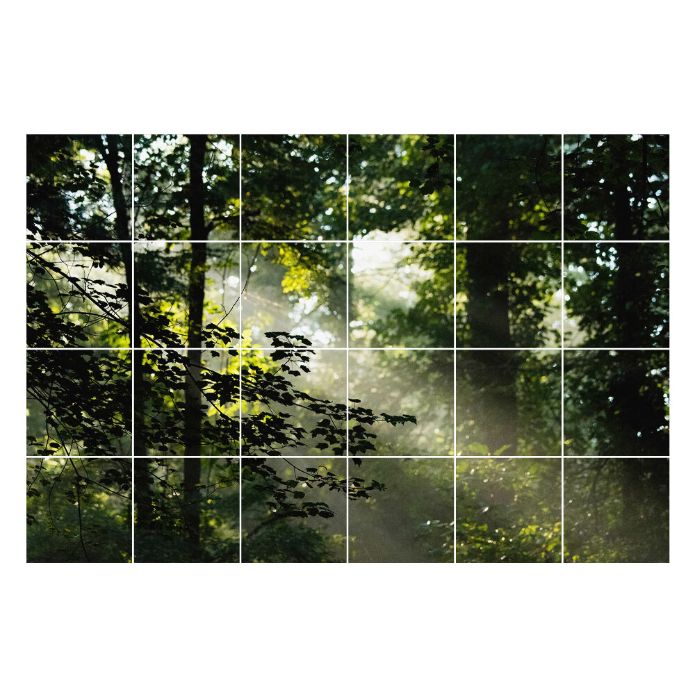 Naklejki na kafelki Promienie światła w lesie