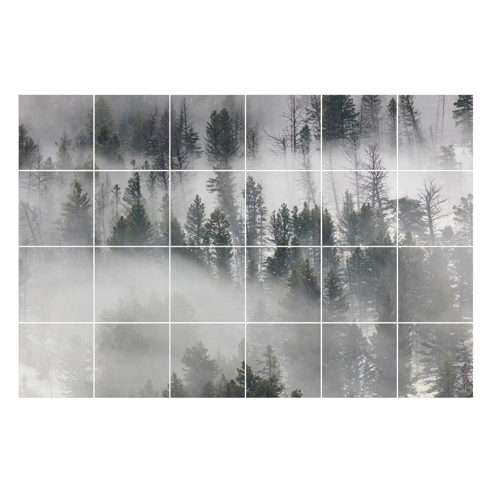 Naklejki na płytki Mglista leśna sceneria