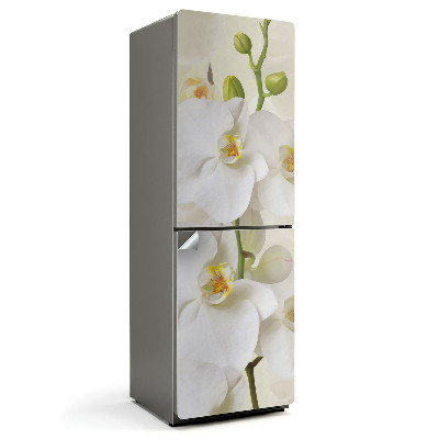 Samoprzylepna naklejka na lodówkę Kwiatowe detale orchidei