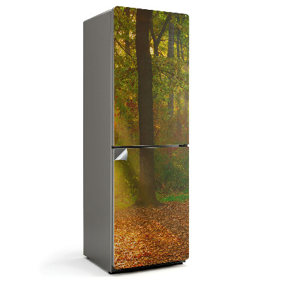 Okleina na lodówkę Magiczna leśna sceneria