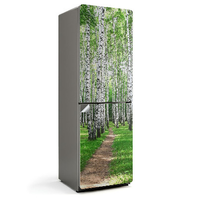 Naklejka na lodówkę Aleja drzew w lesie