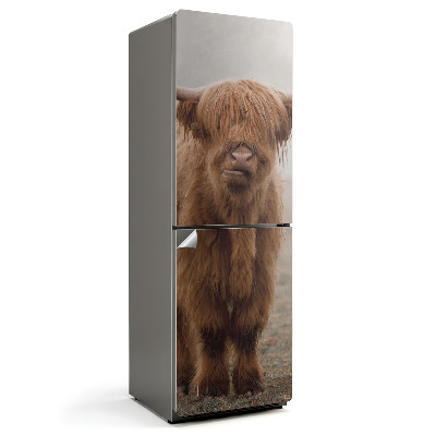 Samoprzylepna naklejka na lodówkę Młode bydło w mistycznej mgle