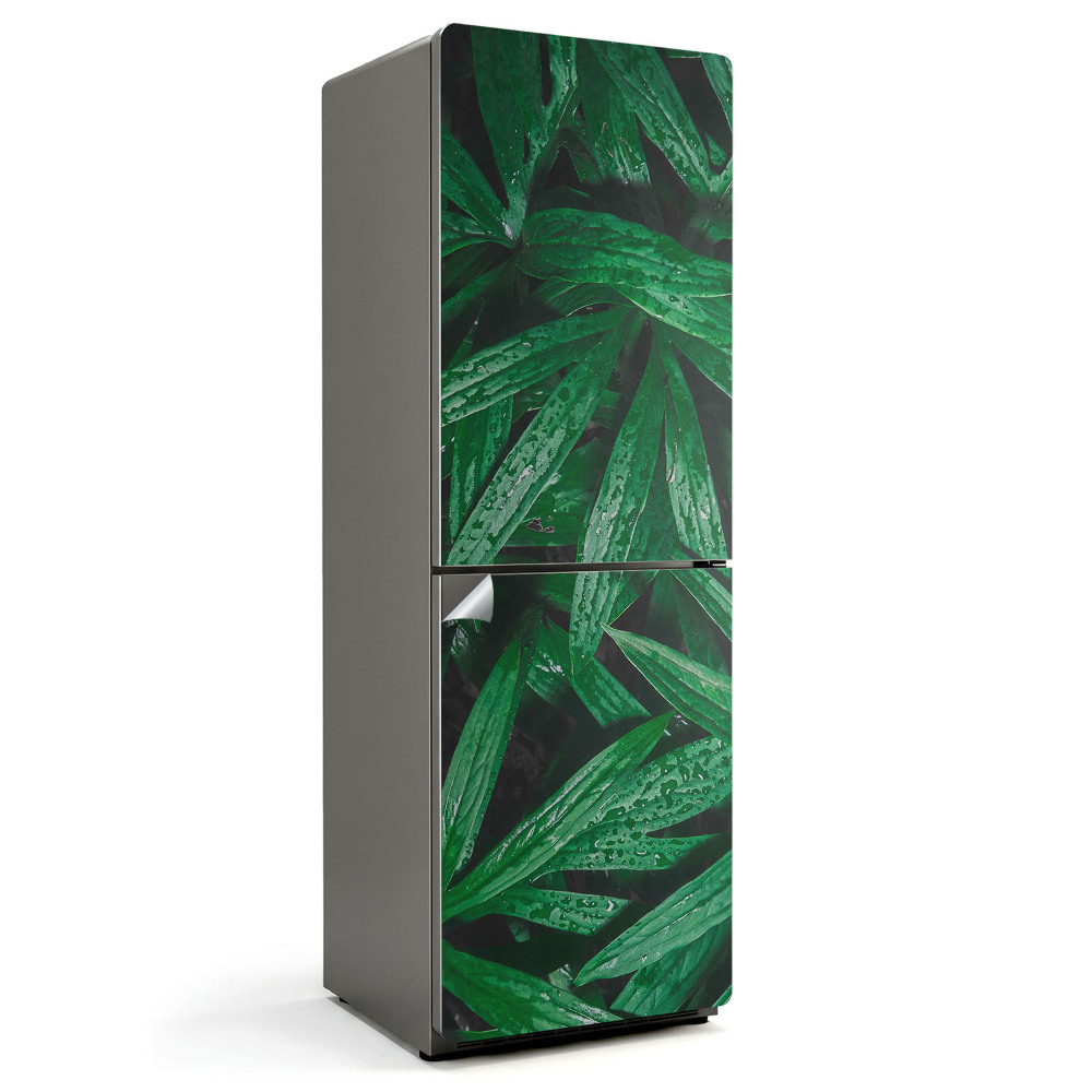 Naklejka tapeta na lodówkę Liście z kroplami wody