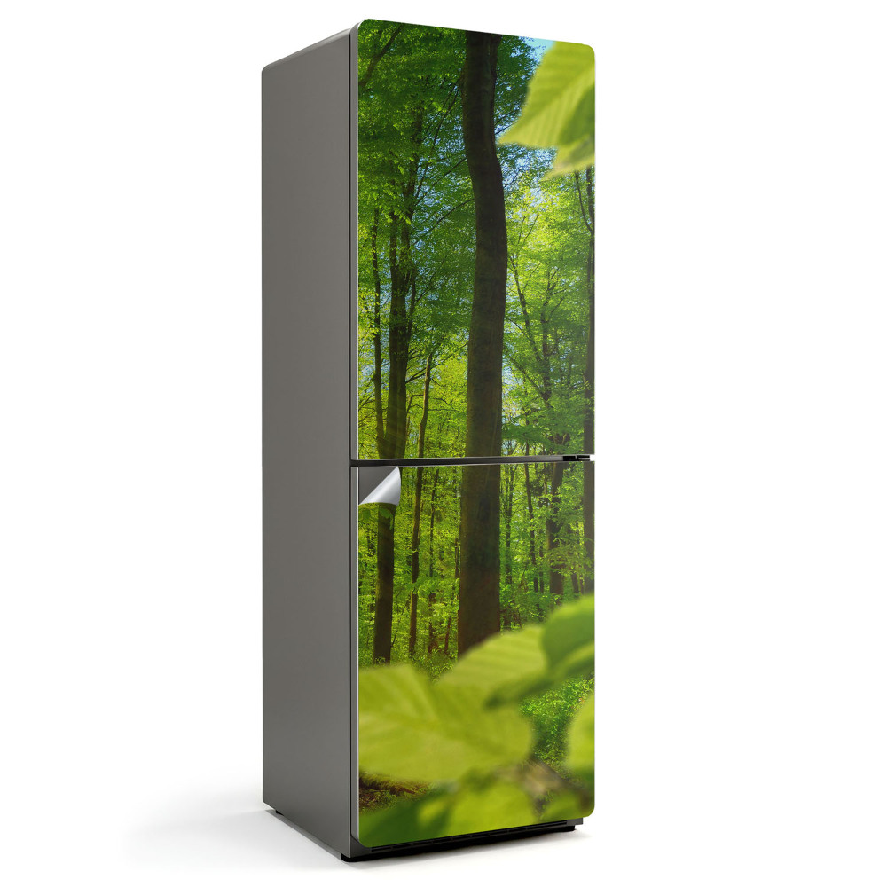 Naklejka tapeta na lodówkę Zielony las w słońcu