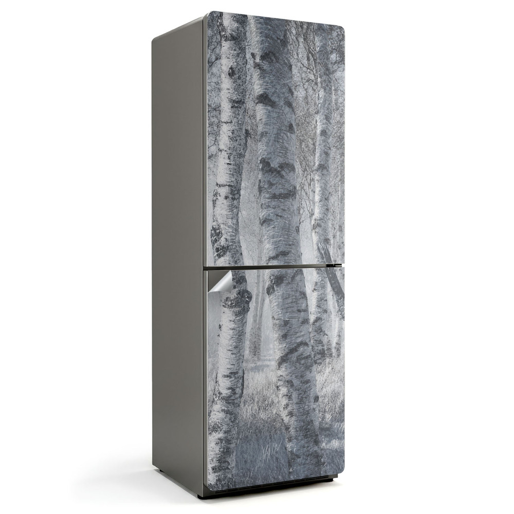 Okleina na lodówkę Zamglony brzozowy las
