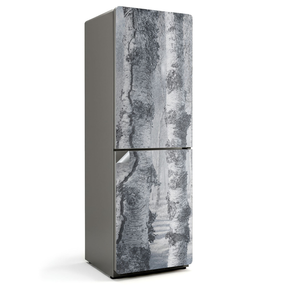 Naklejka na lodówkę Zamglony brzozowy las