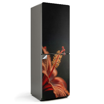 Naklejka na lodówkę Delikatny kwiat w zbliżeniu