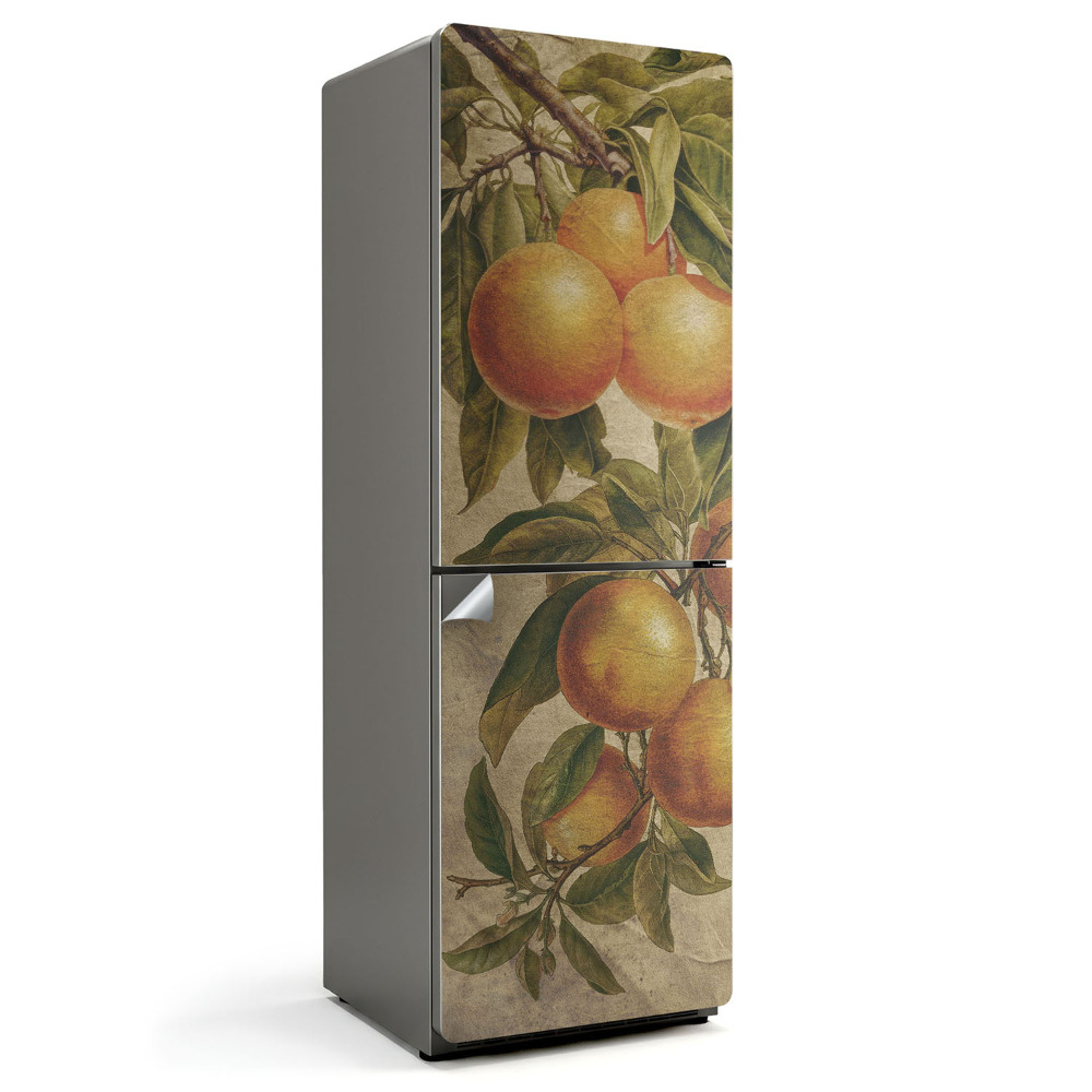 Naklejka tapeta na lodówkę Gałąź z owocami cytrusowymi