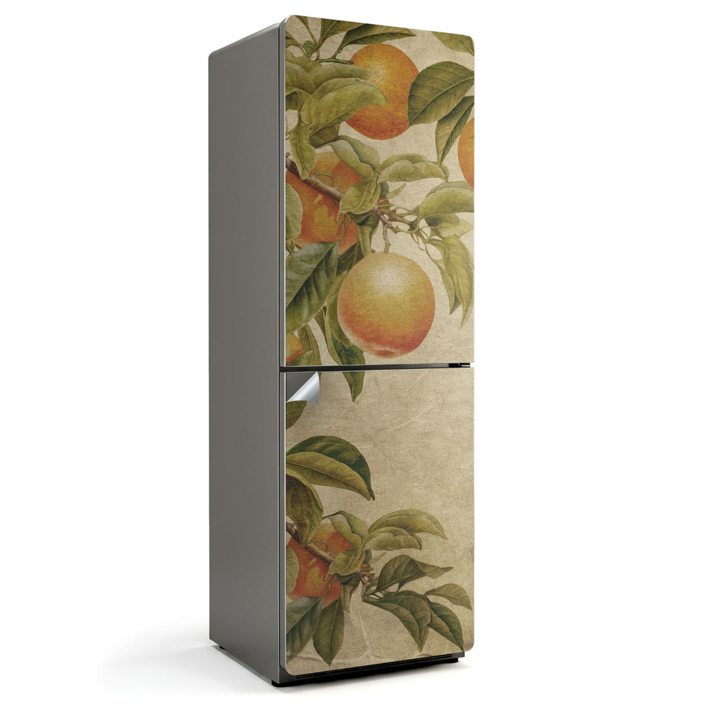 Okleina na lodówkę Gałęzie z owocami