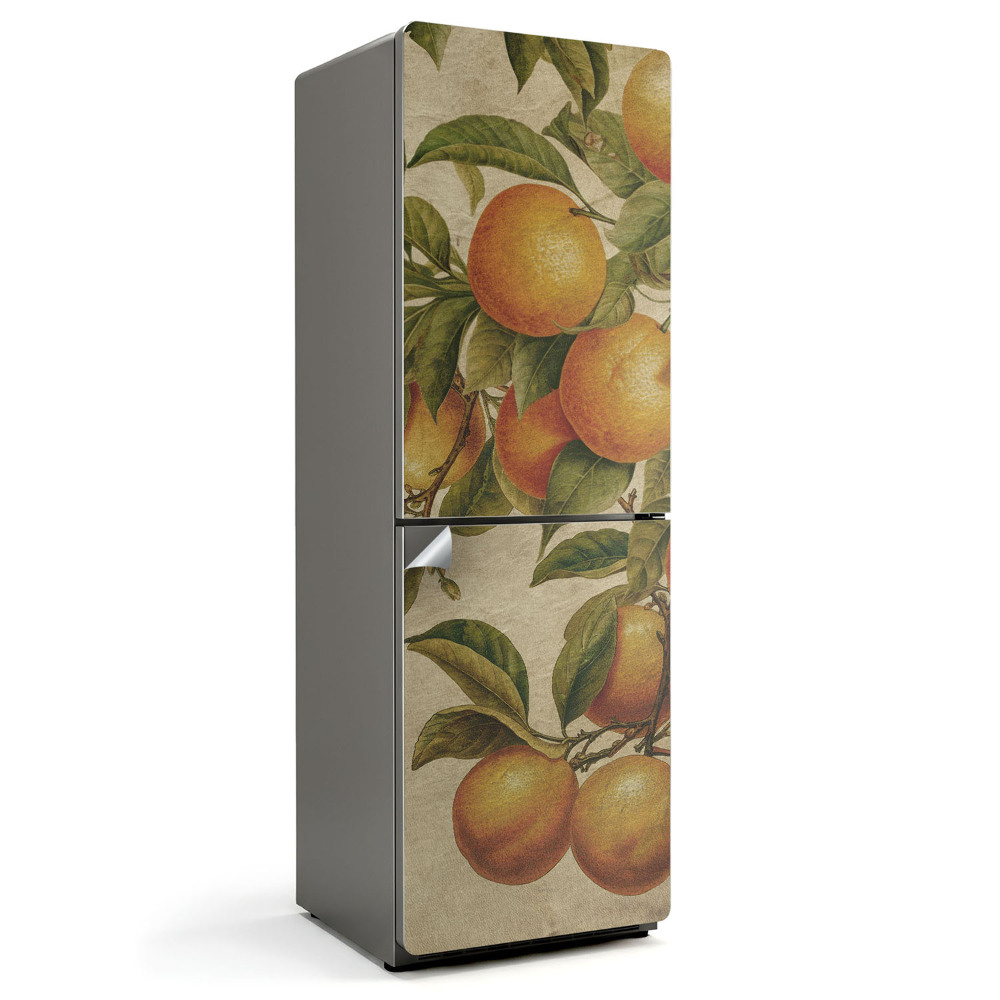 Naklejka na lodówkę Owoce na gałęzi