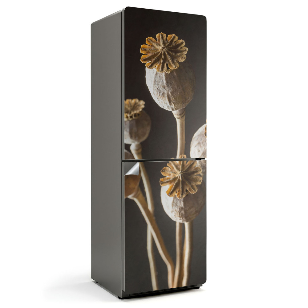 Naklejka na lodówkę Suszone maki w wazonie