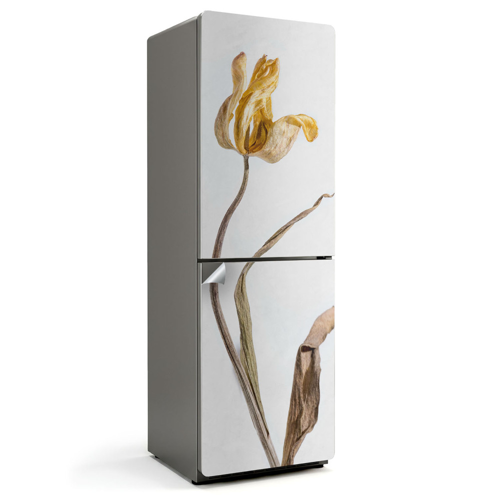 Naklejka tapeta na lodówkę Uschnięty kwiat tulipana