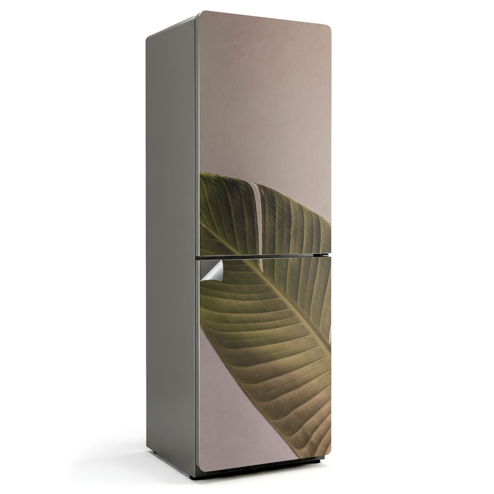 Okleina na lodówkę Liść z wyraźnymi żyłkami