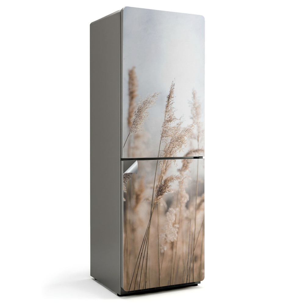 Naklejka tapeta na lodówkę Trawy na tle mgły