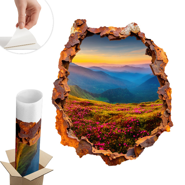 Naklejka na ścianę dziura 3D 108x130 Kwiatowe góry