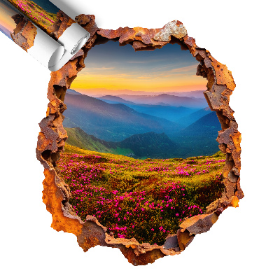 Naklejka na ścianę dziura 3D 108x130 Kwiatowe góry