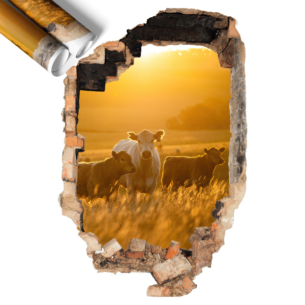 Naklejka dziura w ścianie 40x60 Wiejski pejzaż