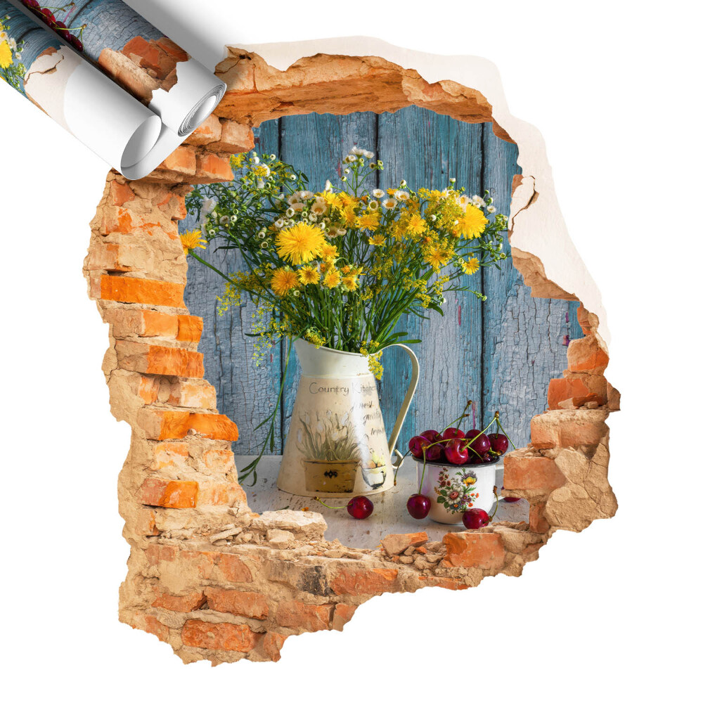 Naklejka dziura w ścianie 51x60 Wiejski pejzaż