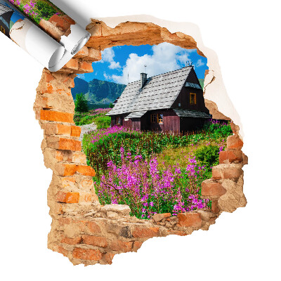 Naklejka dziura w ścianie 51x60 Rustykalny krajobraz