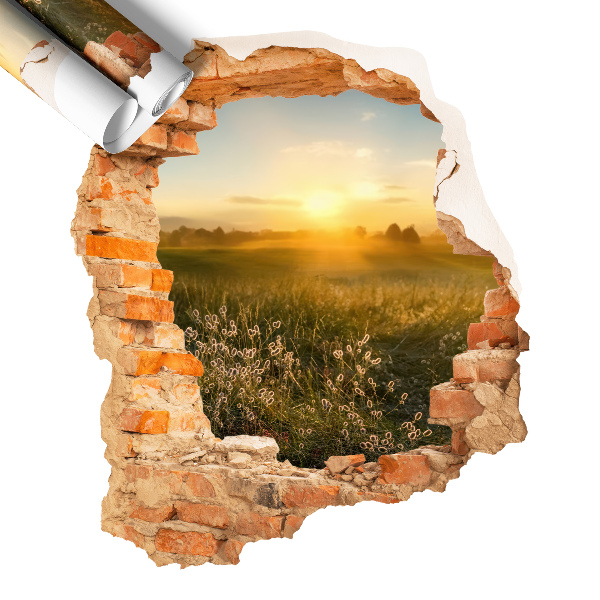 Naklejka dziura w ścianie 51x60 Słoneczna łąka