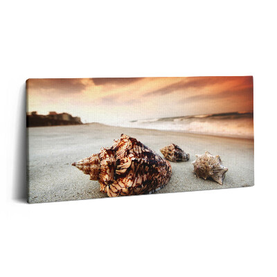 Obraz na płótnie 120x60 Muszle na plaży