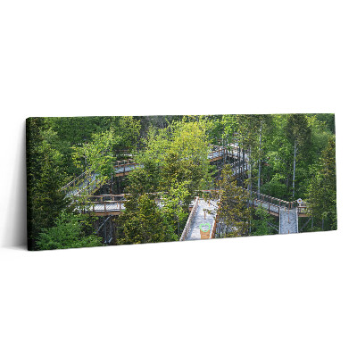 Obraz na płótnie 125x50 Ścieżka w Krynicy Zdroju