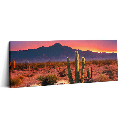 Fotoobraz canvas 125x50 Zachód słońca na pustyni