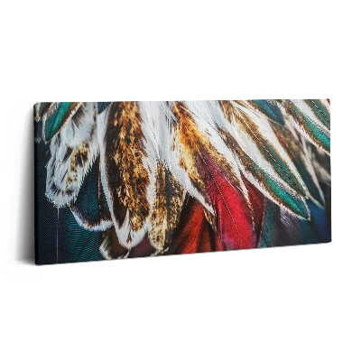 Obraz canvas 140x70 Jasnobrązowe ptasie pióra