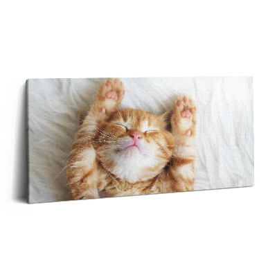 Obraz na płótnie 140x70 Śpiący kotek