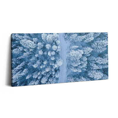 Foto obraz na płótnie 140x70 Las z lotu ptaka. Drony