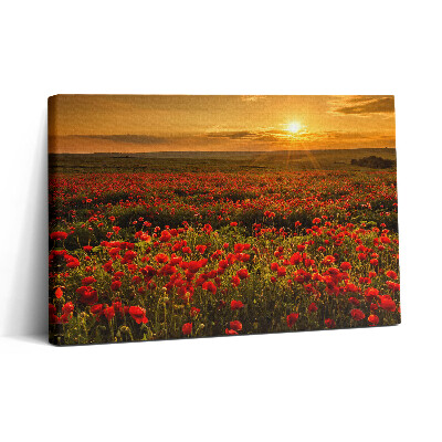 Obraz na płótnie 30x20 Krajobraz polany z makami