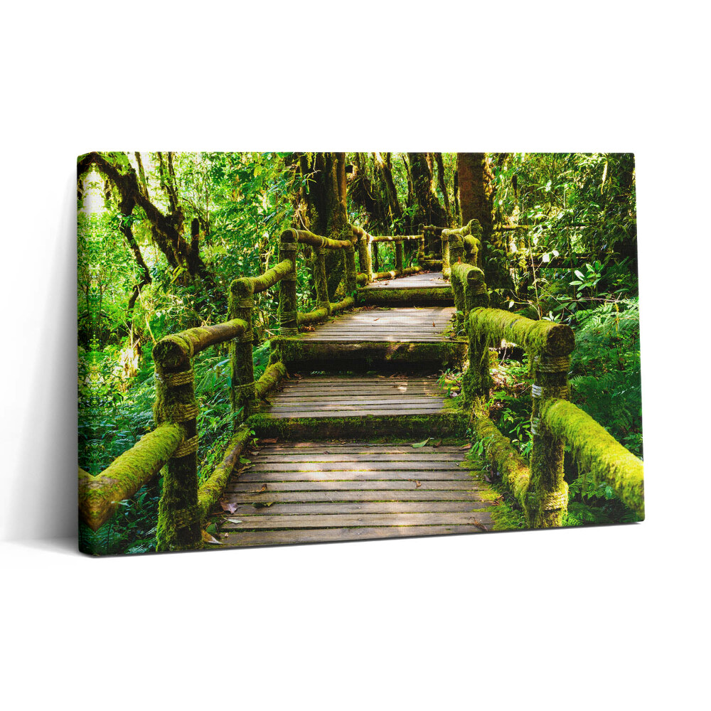 Foto obraz canvas 30x20 Kładka drewniana - agroturystyka