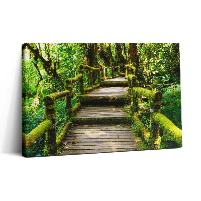 Foto obraz canvas 30x20 Kładka drewniana - agroturystyka