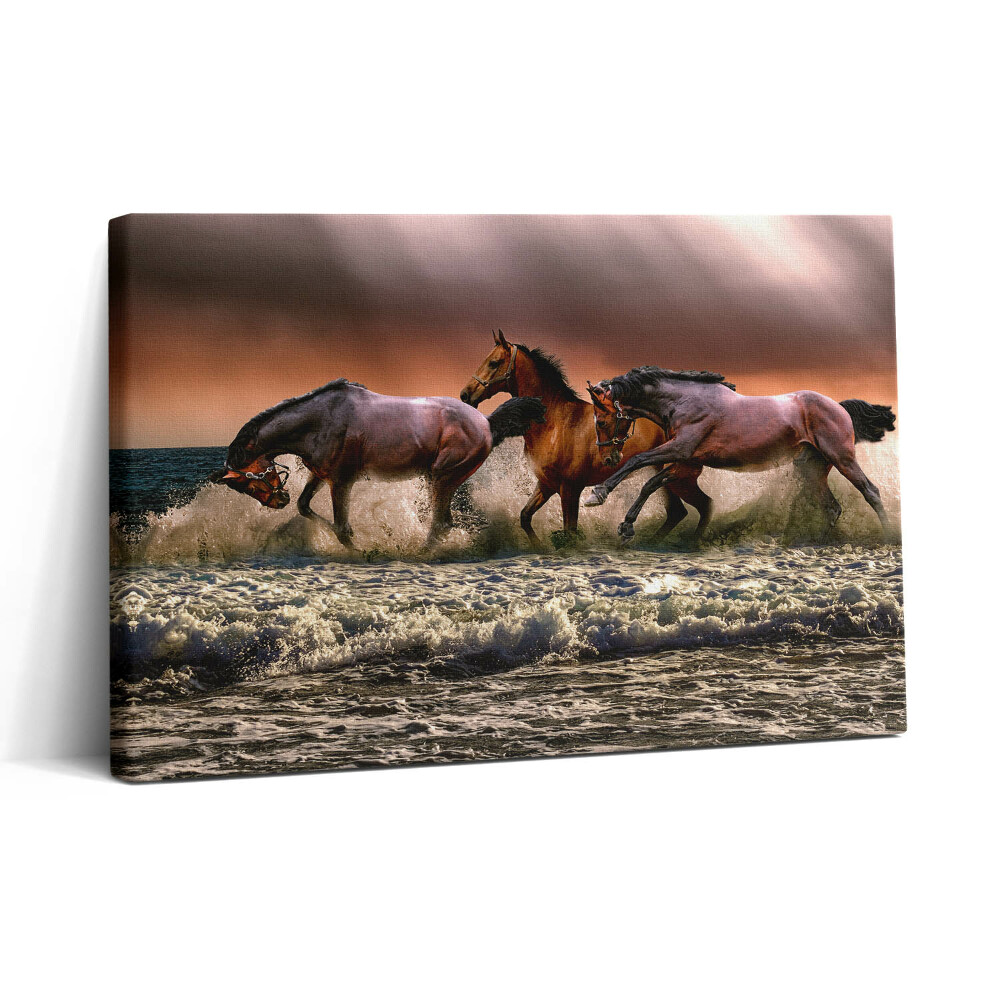 Foto obraz na płótnie 30x20 Konie wpadły do wody