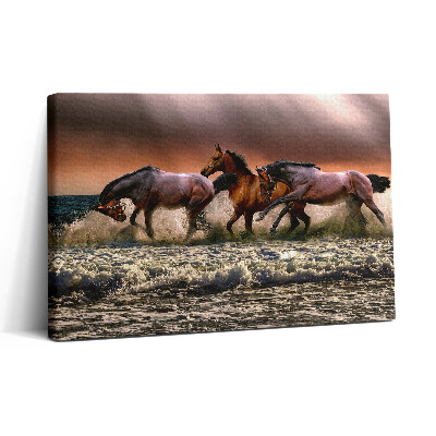 Foto obraz na płótnie 30x20 Konie wpadły do wody