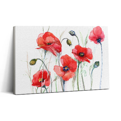Obraz na płótnie 30x20 Sztuka malowania - czerwone maki