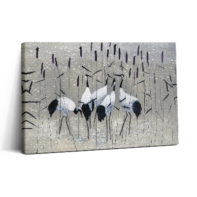 Obraz na płótnie 30x20 Żurawie trzcinowe