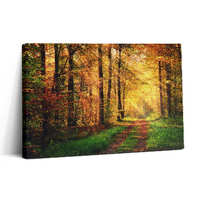 Obraz canvas 30x20 Jesienny krajobraz lasu