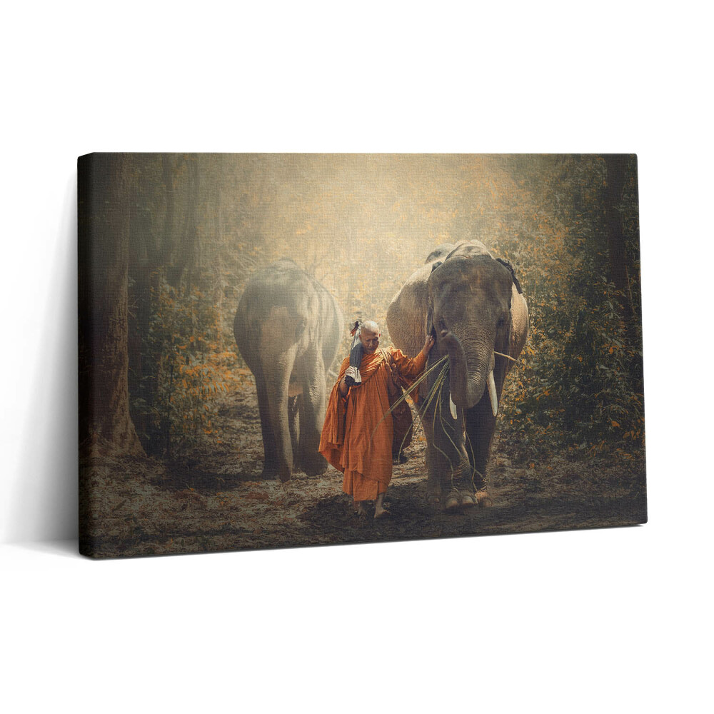 Obraz canvas 30x20 Mnich i słonie