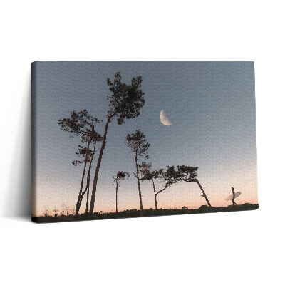 Obraz canvas 30x20 Półksiężyc i drzewa