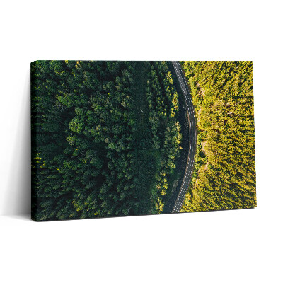 Obraz canvas 30x20 Las z drona - Góra Śnieżka