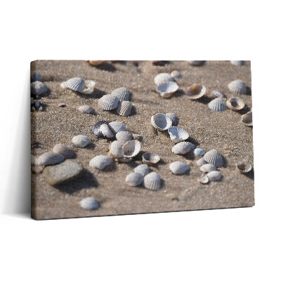 Obraz na płótnie 30x20 Muszle na plaży