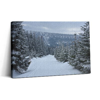 Obraz canvas 30x20 Czeskie Karkonosze zimą